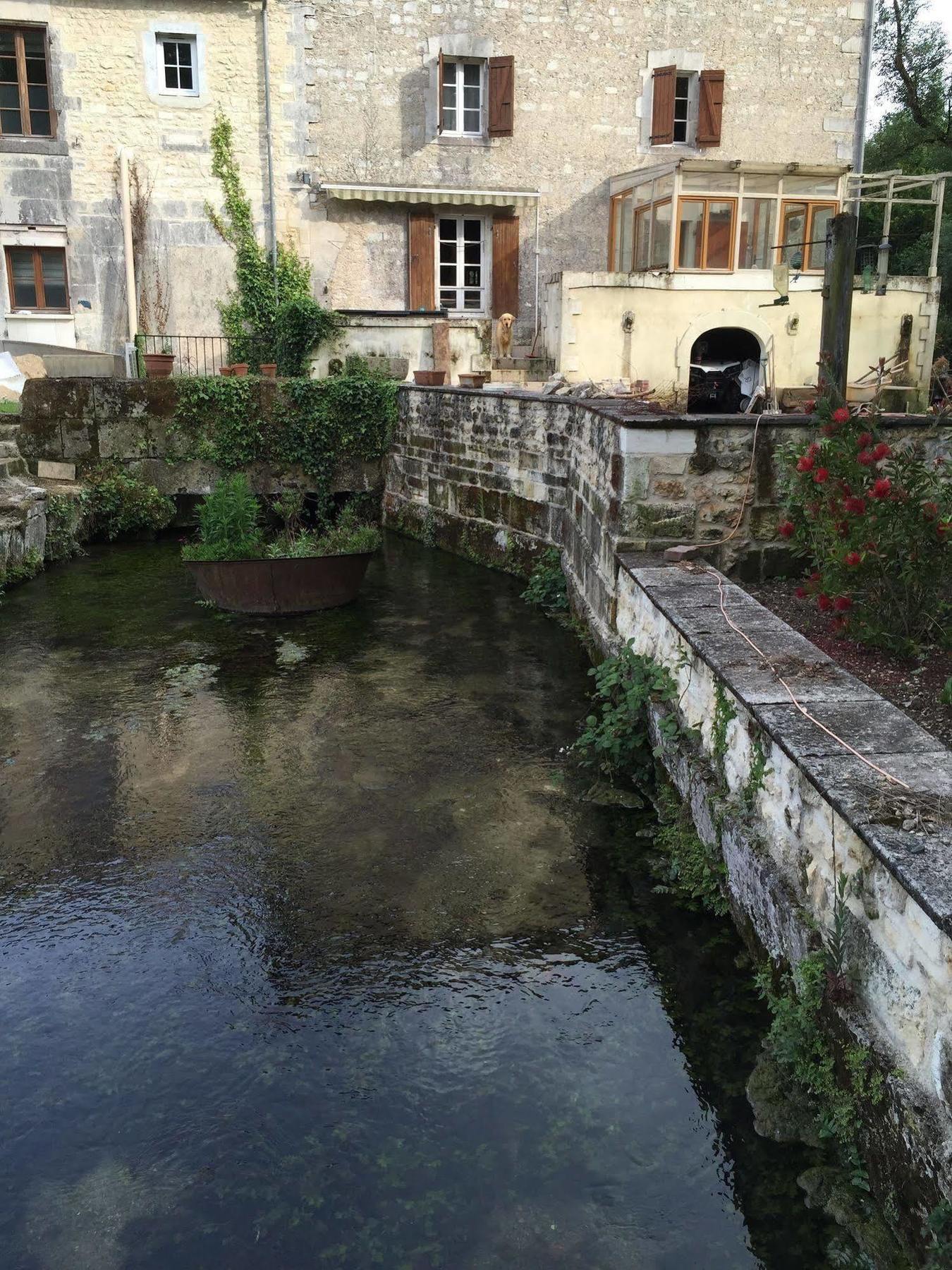 فيلا Petit Moulin De Veillard Bourg-Charente المظهر الخارجي الصورة